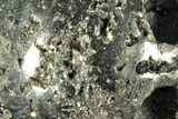 Polished Pyrite Skull With Pyritohedral Crystals #96327-1